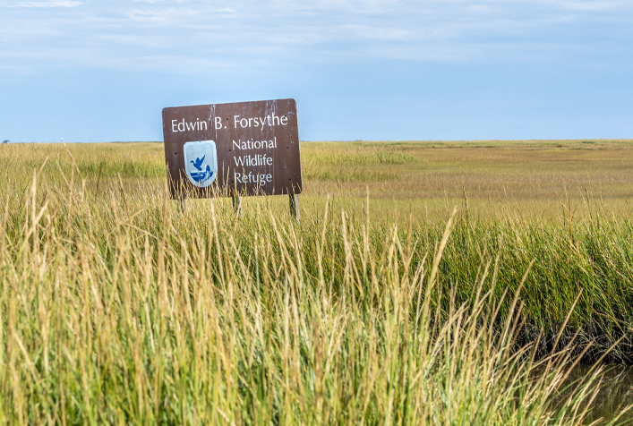 Photo of signage for Edwin B. Forsythe National Wildlife Refuge