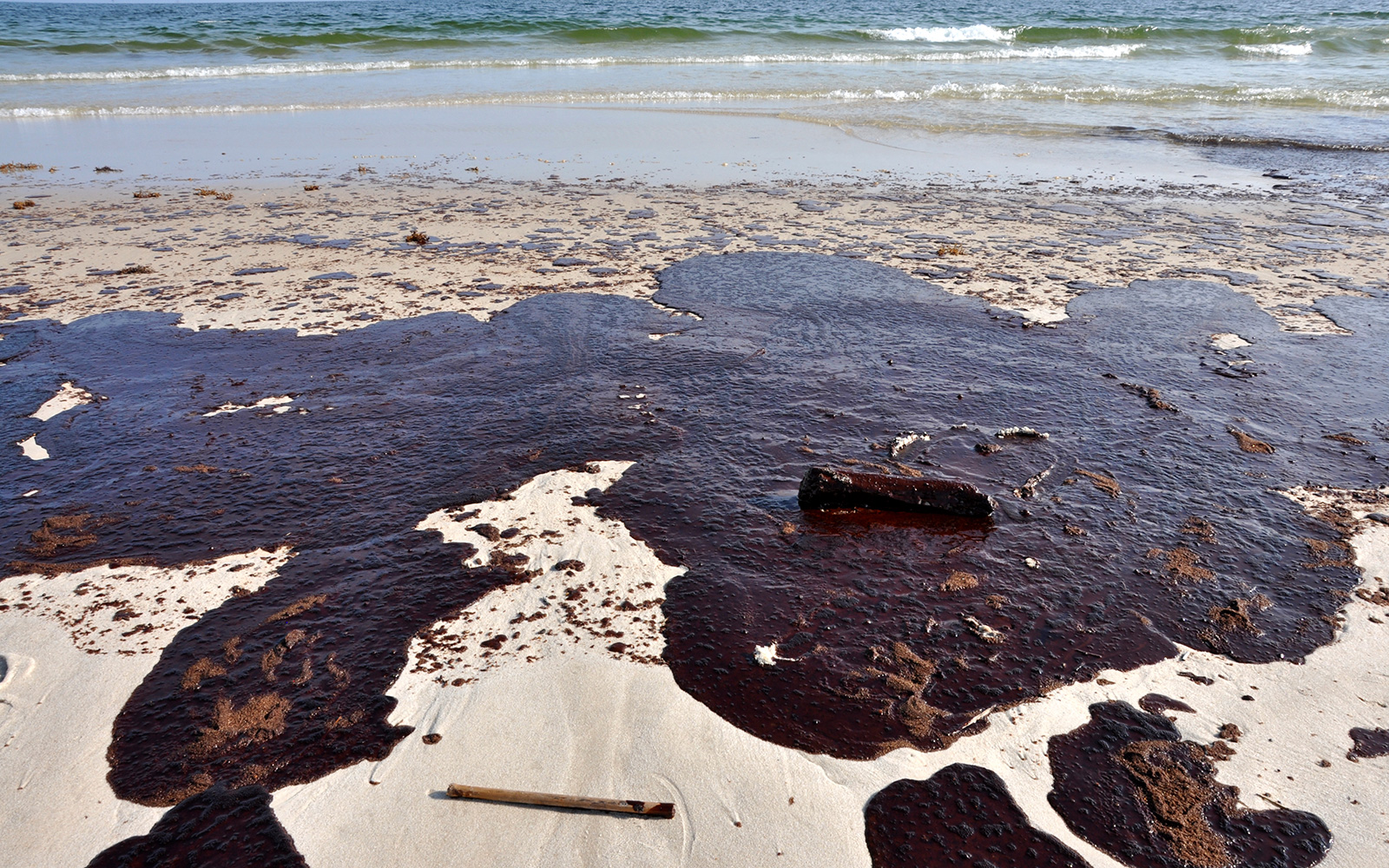 Heavily oiled beach along the Gulf Coast