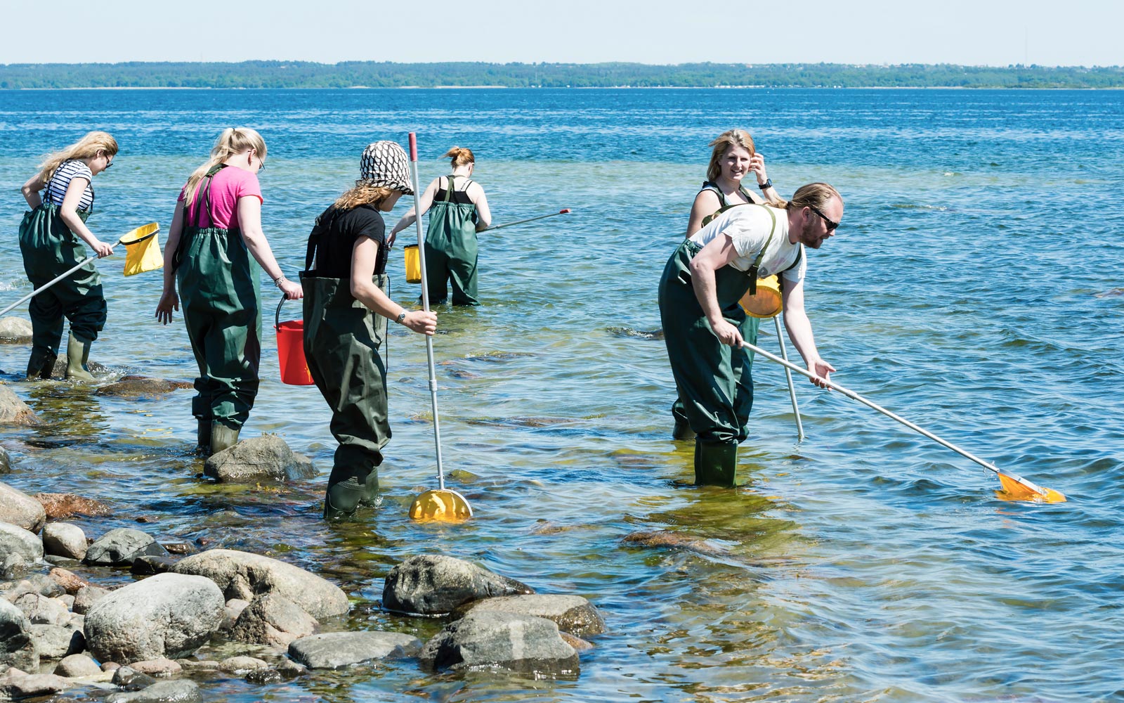 Small group wading in and examining shallow coastal water with ring nets