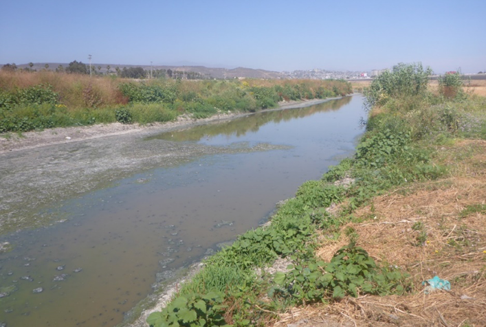 photo of stream-like contaminated transboundary water flower of untreated wastewater 