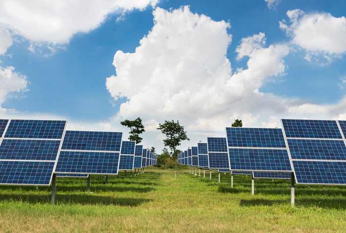 Photo showing two rows of solar panels in a grassy field